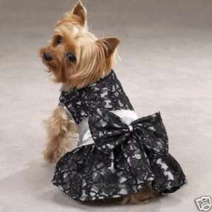 Zack & Zoey SILVER Fancy Lace & Satin Dog Dress MEDIUM  