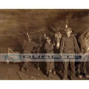   Mule & Coal Miner Child Labor [16 x 20 Photograph]