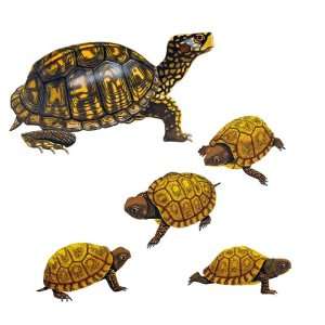  Momma & Baby Turtles Wall Stickers