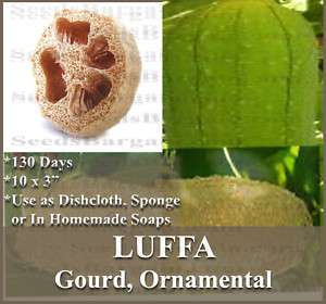 Gourd seeds SPONGE LOOFA LOOFAH   SOAP MAKING*~ ~ LUFFA  