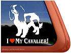 love my cavalier cavalier king charles spaniel dog window