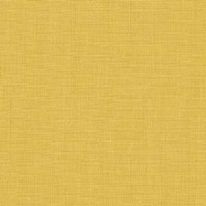  61 Wide Movida Cotton Broadcloth Mangue Yellow Fabric By 