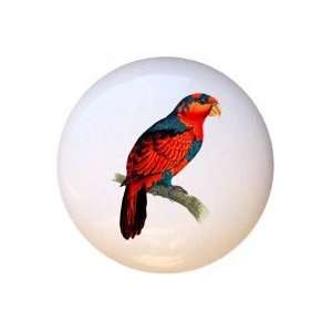  Birds Blue Crowned Lory Drawer Pull Knob