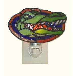  Florida Gators Leaded Stained Glass Nite Light Everything 
