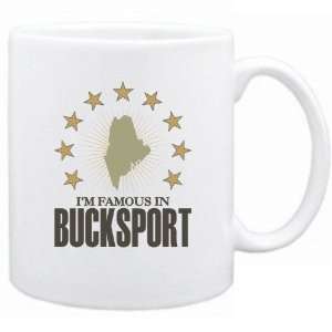    New  I Am Famous In Bucksport  Maine Mug Usa City