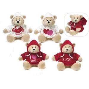  9 Hoodie Bears with Assorted Love Sayings  Pink Bear with 