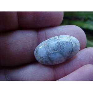   Gemqz Coral Agate Oval Cabochon From Indonesia  