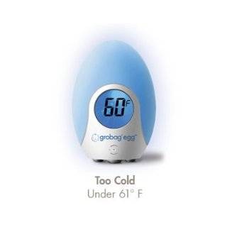  Ambient Weather TH101 Baby Room Thermometer with Humidity 