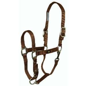  Horse Halter with Brushed Hardware and Snap (300 to 500 lb. Horse 