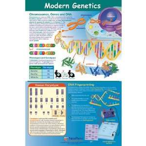 Nasco   NewPath Modern Genetics Poster  Industrial 