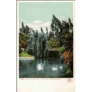  Reprint Los Angeles CA   Quiet Waters, East Lake Park 1900 