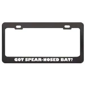 Got Spear Nosed Bat? Animals Pets Black Metal License Plate Frame 