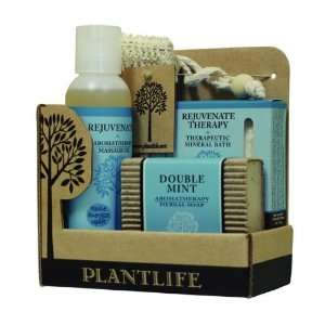  Plantlife Spa Therapy Kit   Rejuvenate Health & Personal 