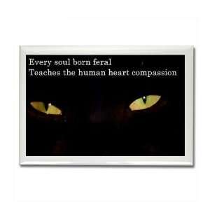  Every Feral Cat Soul Pets Rectangle Magnet by  