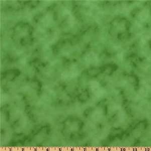  117 Back to Basics Quilt Backing Sponged Green Fabric By 