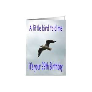  Happy 29th Birthday Flying Seagull bird Card Toys & Games