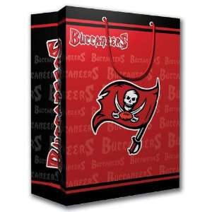  Tampa Bay Buccaneers NFL Medium Gift Bag (9.75 Tall 