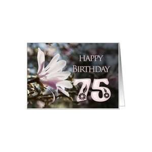 75th Birthday Card with magnolias Card  Toys & Games  