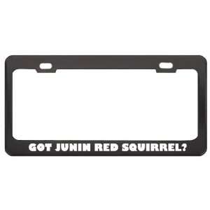 Got Junin Red Squirrel? Animals Pets Black Metal License Plate Frame 