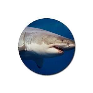 Shark Round Rubber Coaster set 4 pack Great Gift Idea