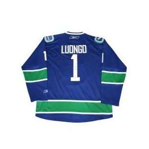  Roberto Luongo Autographed/Hand Signed Pro Jersey Sports 