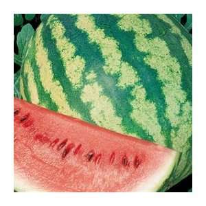  Organic Crimson Sweet Watermelon   1/16oz. Bulk Vegetable 