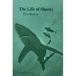  The Life of Sharks Paul Budker Books