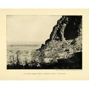   Natural History Landscape   Original Halftone Print