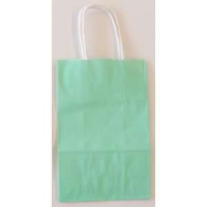  Paper Reflections Small Gift Bags   Glossy Mint Green (Box 