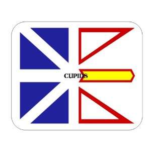  Canadian Province   Newfoundland, Cupids Mouse Pad 
