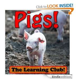   About Pigs And Learn To Read   The Learning Club (45+ Photos of Pigs