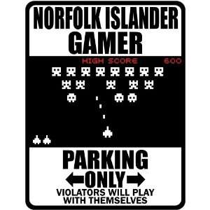 Norfolk Islander Gamer   Parking Only ( Invaders Tribute   80S Game 