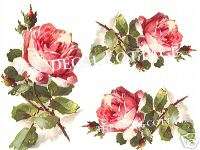 TOO GORGEOUS shabby * PETAL PINK ROSES DECALS * chic  