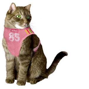 How to Fit a Cat Harness  