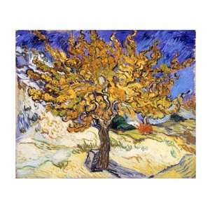  The Mulberry Tree in Autumn, c.1889 by Vincent Van Gogh 
