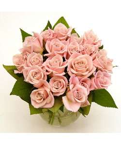 Soft Pink Sweetheart Roses (20 Stems)  