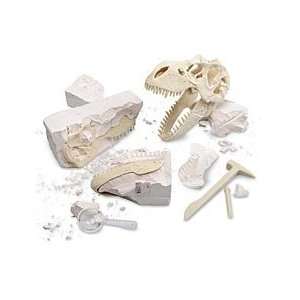    Geoworld T Rex Dinosaur Skeleton Excavation Kit Toys & Games