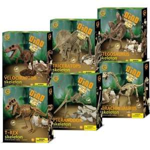    Geoworld Dinosaur Excavation Kits (Complete Set Of 6) Toys & Games