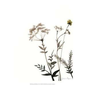  Watermark Wildflowers IX by Jennifer Goldberger 13x16 