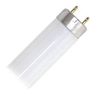 /CW FLUORESCENT LIGHT BULB COOL WHITE LONG LIFE DISPLAY FLUORESCENT 