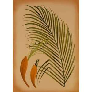 Palm Frond IV artist Wilbur 13x17 