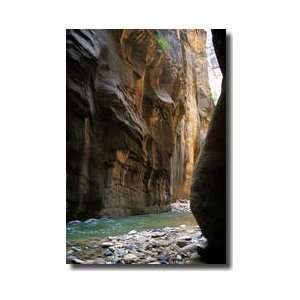  Virgin River Narrows Canyon Zion National Park Utah Giclee 