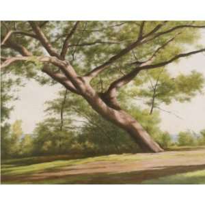  John Folchi 30W by 24H  Leaning Tree, 2003 CANVAS Edge #2 1 1 