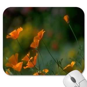   75 Designer Mouse Pads   Flowers/Floral (MPFL 600)