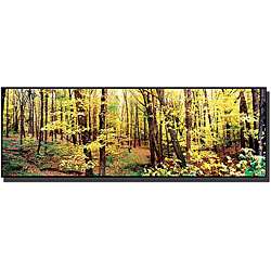 Preston The Trees Gallery wrapped Canvas Art  