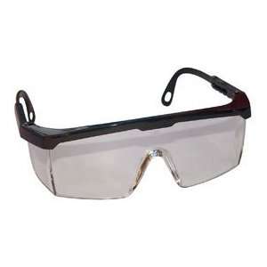  Hornet Wrap Around Safety Glasses