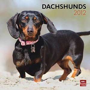  2012 Dachshunds Calendar