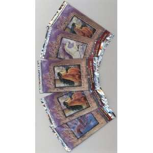  Bella Sara Ancient Lights Trading Cards Unopened Pack (7 cards 