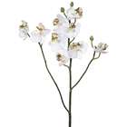 Allstate Floral Pack of 6 Artificial White Baby Phalaenopsis Orchid 