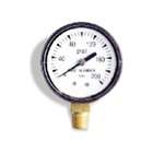 Wayne Water Systems 0 100 PSI, 0.25 Bottom Pressure Gauge